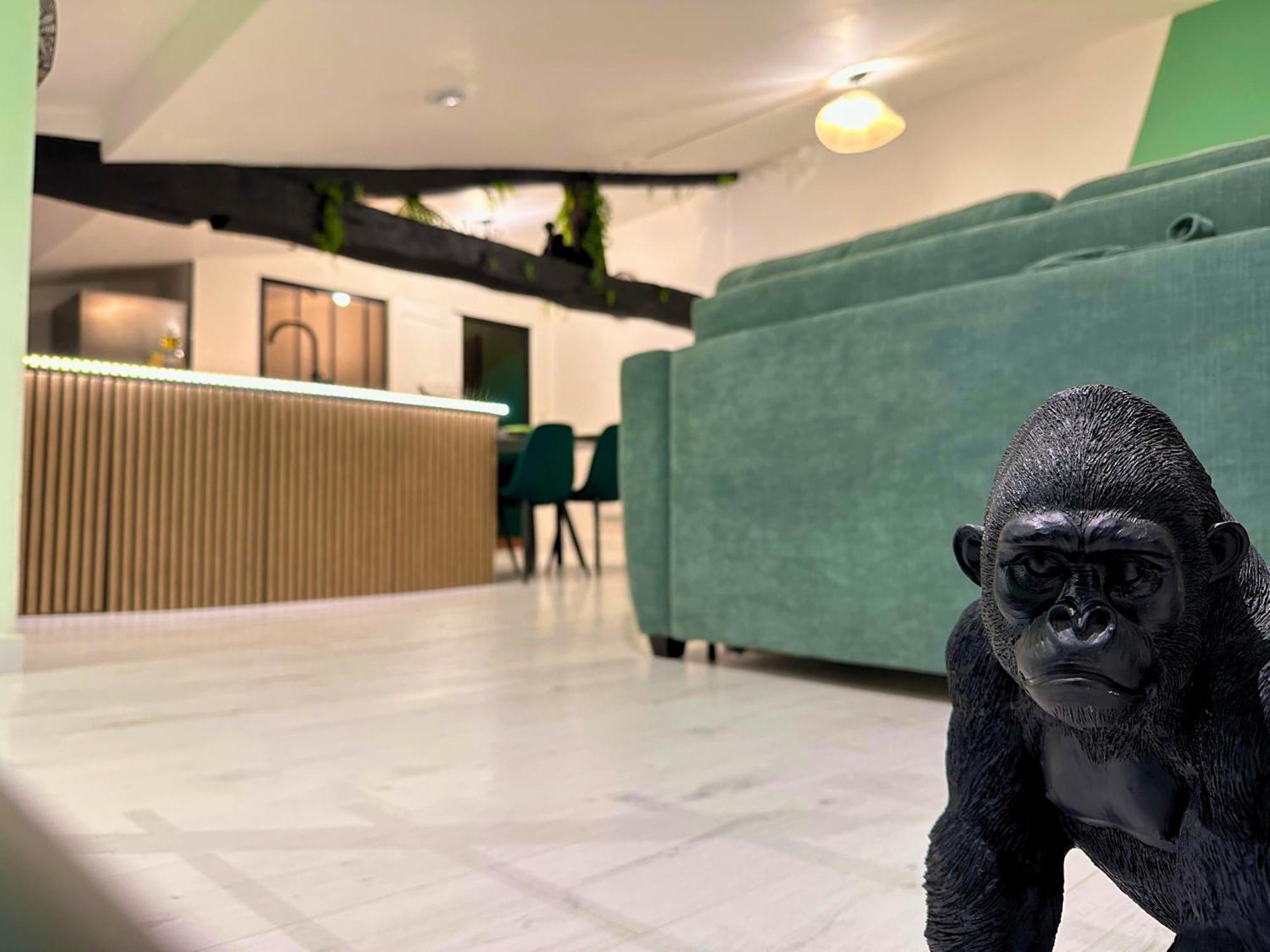 L'atypique Jungle - Hyper Centre - Refait A Neuf Rochefort (Charente-Maritime)
